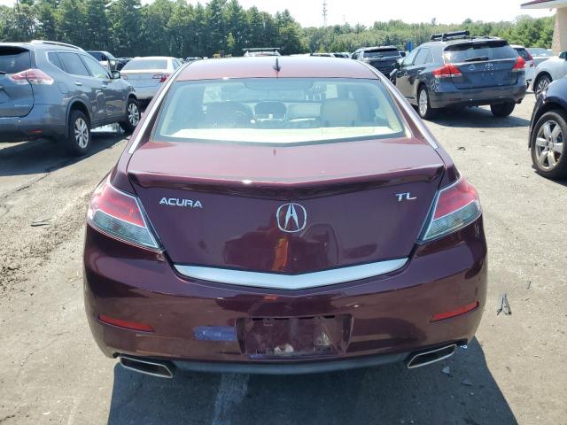 19UUA8F26CA039942 - 2012 ACURA TL 红色 照片 6