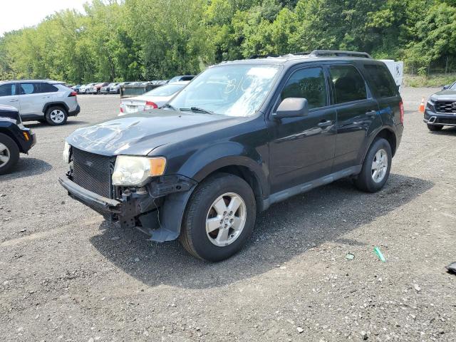 2011 FORD ESCAPE XLT, 