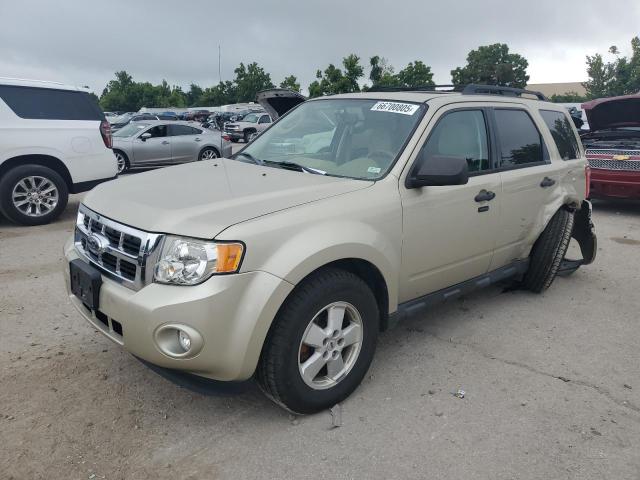 2012 FORD ESCAPE XLT, 
