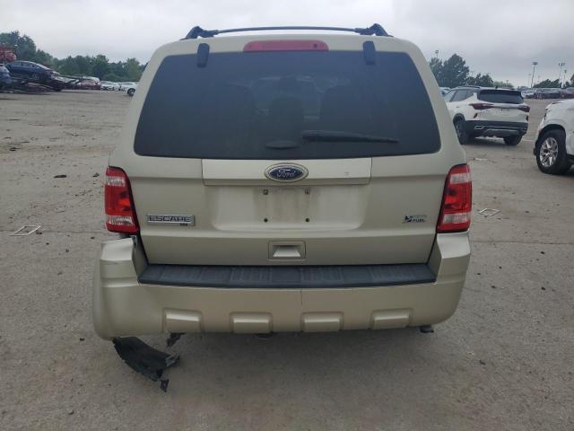 1FMCU0DG7CKA49791 - 2012 FORD ESCAPE XLT Qəhvəyi foto 6