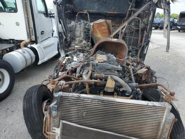 1FUJGLD53GLHE2853 - 2016 FREIGHTLINER CASCADIA 1 BLACK photo 7