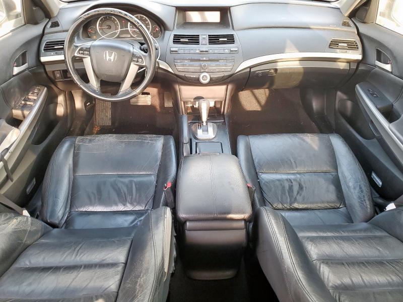 JHMCP26878C007182 - 2008 HONDA ACCORD EXL GREEN photo 8