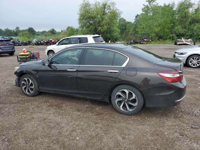 1HGCR3F8XHA012035 - 2017 HONDA ACCORD EXL BROWN photo 2