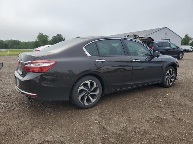 1HGCR3F8XHA012035 - 2017 HONDA ACCORD EXL BROWN photo 3