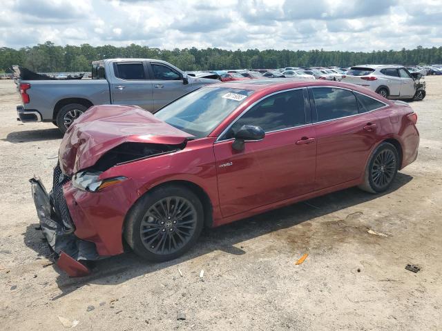 2019 TOYOTA AVALON XLE, 