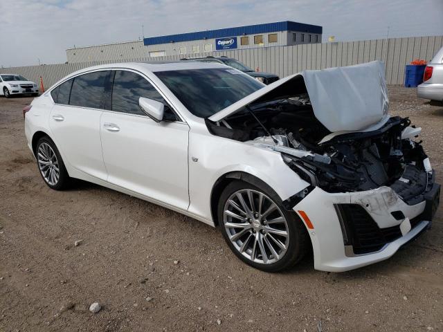 1G6DT5RW2N0116999 - 2022 CADILLAC CT5 PREMIUM LUXURY WHITE photo 4