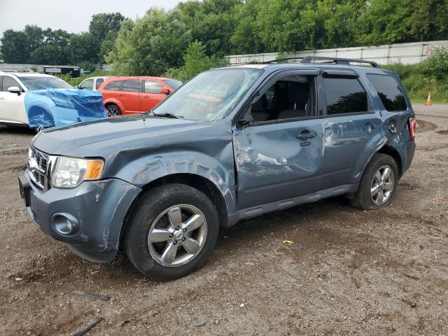 2010 FORD ESCAPE XLT, null