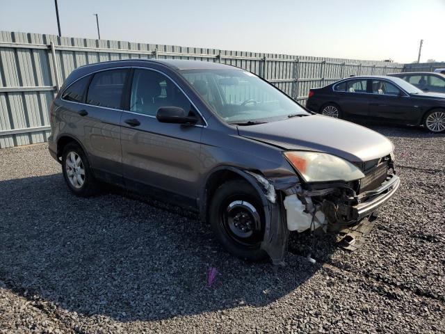 5J6RE4H39AL820876 - 2010 HONDA CR-V LX CHARCOAL photo 4