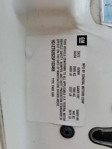 1G1ZT62825F103468 - 2005 CHEVROLET MALIBU MAXX LS 白色 照片 13