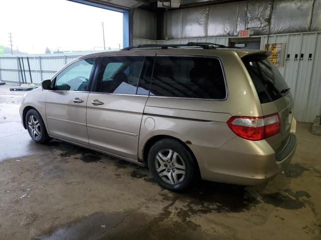 5FNRL38495B029433 - 2005 HONDA ODYSSEY EX GOLD photo 2