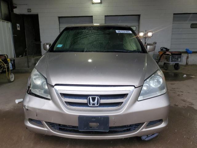 5FNRL38495B029433 - 2005 HONDA ODYSSEY EX GOLD photo 5