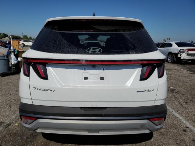 KM8JCDD10SU251064 - 2025 HYUNDAI TUCSON SEL CONVENIENCE თეთრი ფოტო 6