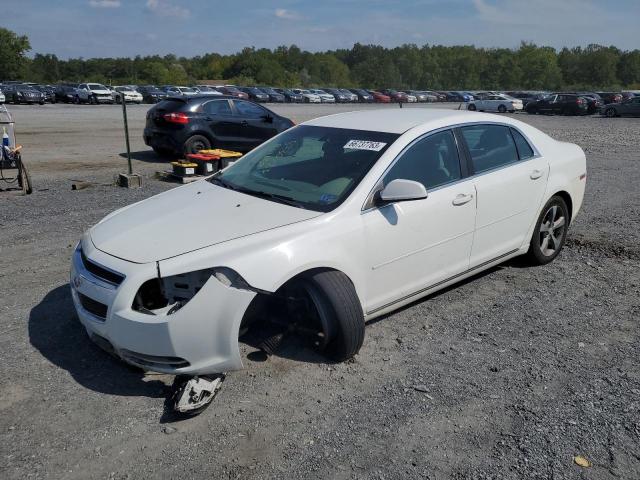 1G1ZC5EU8BF106065 - 2011 CHEVROLET MALIBU 1LT 白色 照片 1