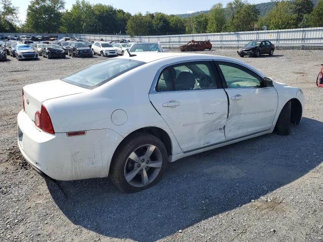 1G1ZC5EU8BF106065 - 2011 CHEVROLET MALIBU 1LT 白色 照片 3