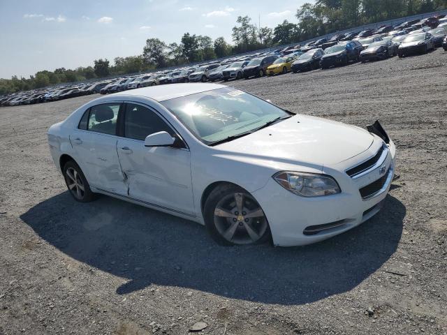 1G1ZC5EU8BF106065 - 2011 CHEVROLET MALIBU 1LT 白色 照片 4