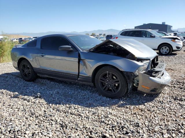 1ZVBP8AN2A5137777 - 2010 FORD MUSTANG GRAY photo 4