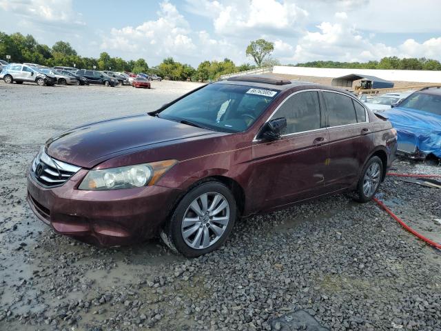 2011 HONDA ACCORD EXL, 