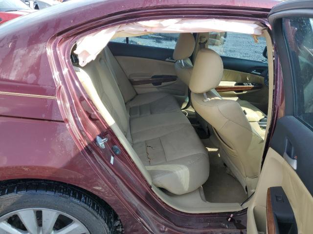 1HGCP2F81BA080456 - 2011 HONDA ACCORD EXL 栗色 照片 10