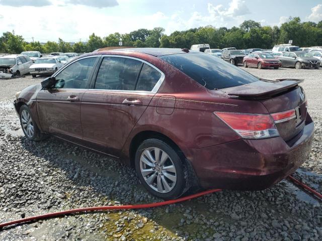 1HGCP2F81BA080456 - 2011 HONDA ACCORD EXL 栗色 照片 2