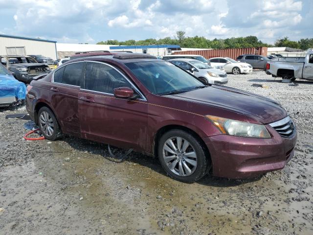 1HGCP2F81BA080456 - 2011 HONDA ACCORD EXL 栗色 照片 4