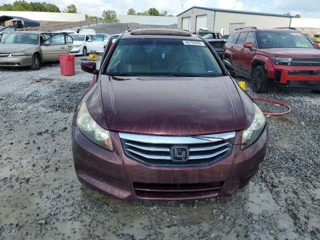 1HGCP2F81BA080456 - 2011 HONDA ACCORD EXL 栗色 照片 5
