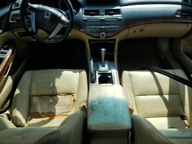 1HGCP2F81BA080456 - 2011 HONDA ACCORD EXL 栗色 照片 8