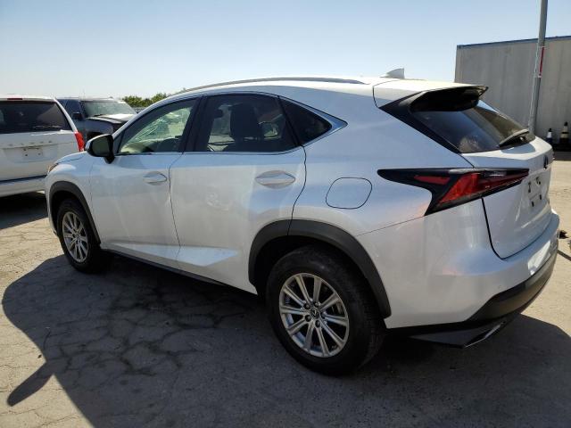 JTJAARDZ1L5018784 - 2020 LEXUS NX 300 BASE Ağ foto 2