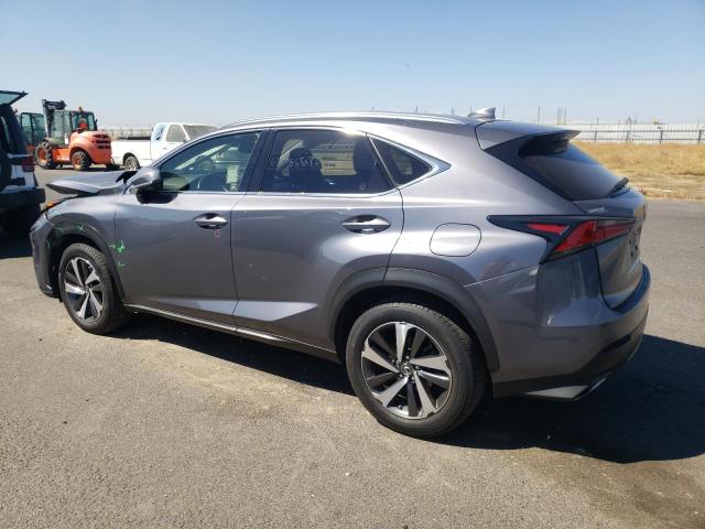 JTJYARBZ7J2094557 - 2018 LEXUS NX 300 BASE Boz foto 2