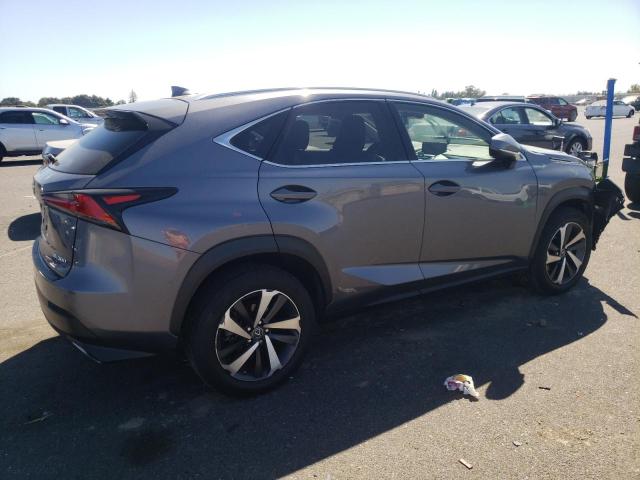 JTJYARBZ7J2094557 - 2018 LEXUS NX 300 BASE Boz foto 3