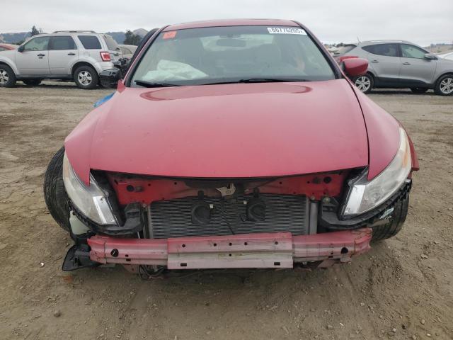 1HGCS12888A017670 - 2008 HONDA ACCORD EXL 红色 照片 5