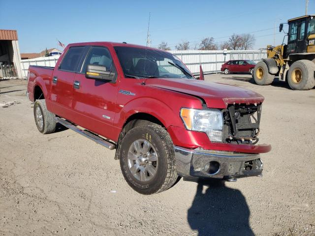 1FTFW1ET2BFC63849 - 2011 FORD F150 XLT SUPERCREW RED photo 1