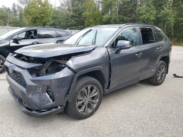 2023 TOYOTA RAV4 XLE, 