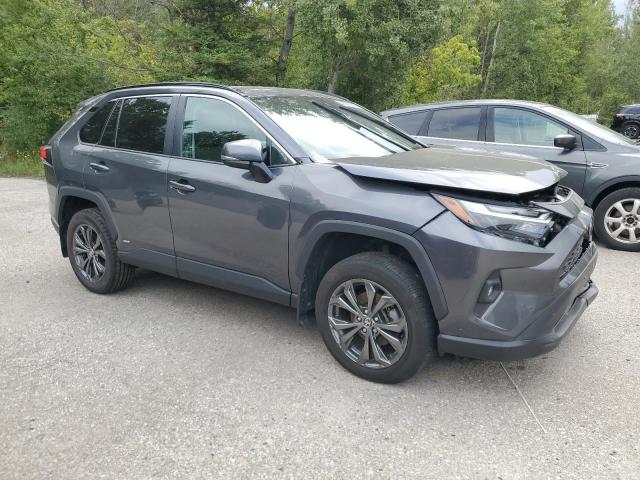 2T3RWRFV1PW177546 - 2023 TOYOTA RAV4 XLE GRAY photo 4