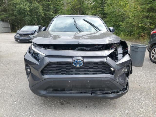 2T3RWRFV1PW177546 - 2023 TOYOTA RAV4 XLE GRAY photo 5