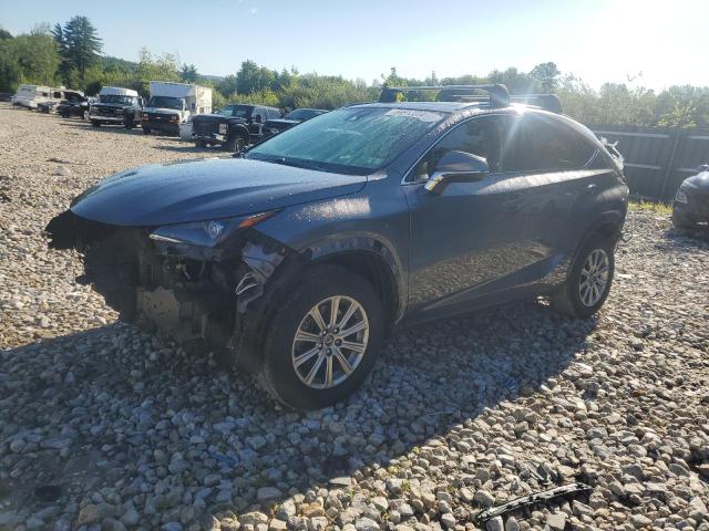 JTJDARDZXM2252387 - 2021 LEXUS NX 300 BASE Boz foto 1