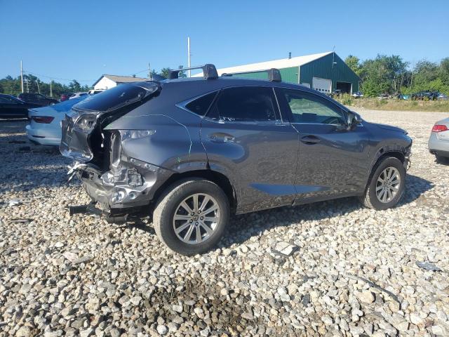 JTJDARDZXM2252387 - 2021 LEXUS NX 300 BASE Boz foto 3