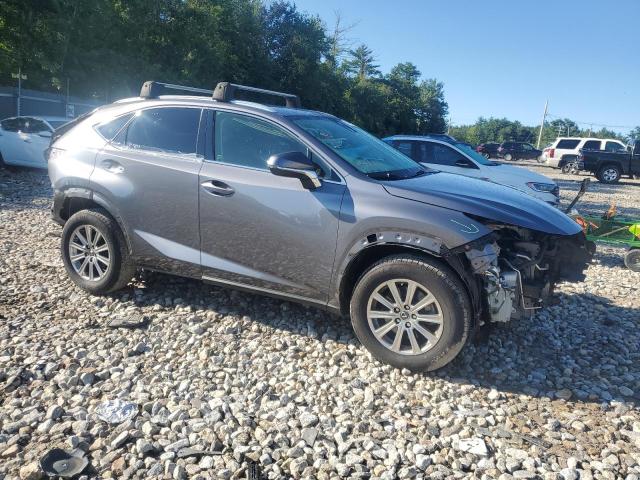 JTJDARDZXM2252387 - 2021 LEXUS NX 300 BASE Boz foto 4
