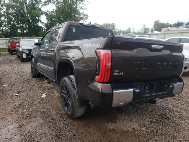 5TFMA5DB4NX033203 - 2022 TOYOTA TUNDRA CREWMAX PLATINUM Braun Foto 2