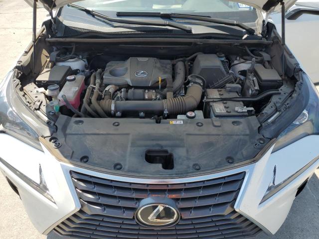 JTJDARBZ6M5031211 - 2021 LEXUS NX 300 BASE თეთრი ფოტო 11