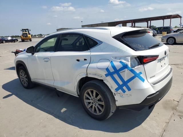 JTJDARBZ6M5031211 - 2021 LEXUS NX 300 BASE თეთრი ფოტო 2