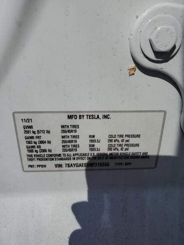 7SAYGAEE0NF316566 - 2022 TESLA MODEL Y 白色 照片 13