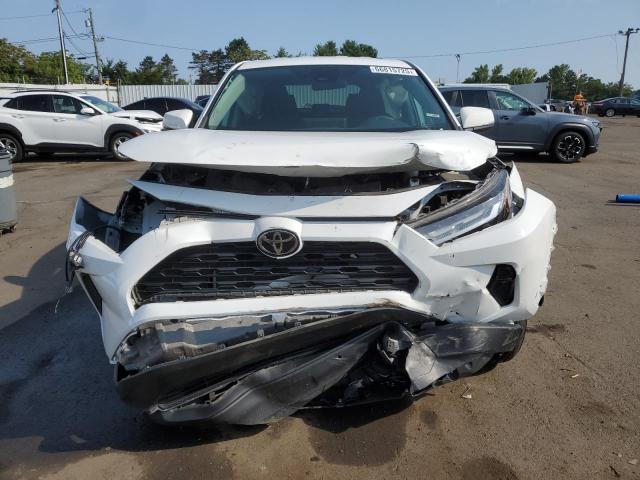 2T3G1RFV3PW370061 - 2023 TOYOTA RAV4 LE Ağ foto 5