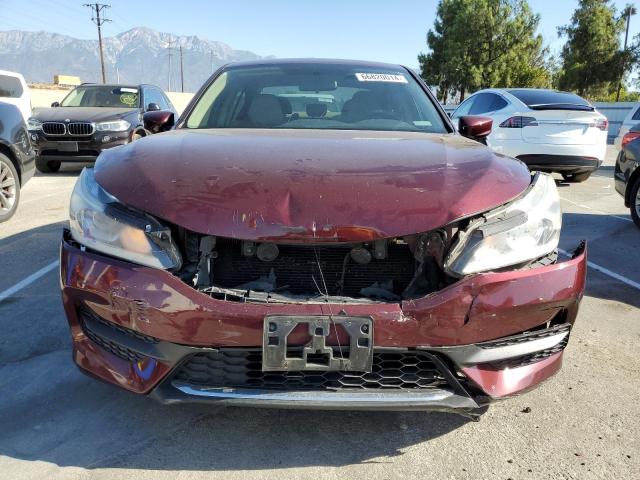 1HGCR2F31HA133356 - 2017 HONDA ACCORD LX BURGUNDY photo 5