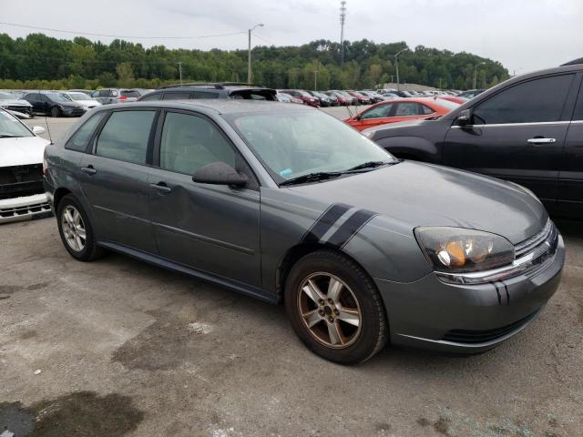1G1ZT62835F101227 - 2005 CHEVROLET MALIBU MAXX LS 灰色 照片 4