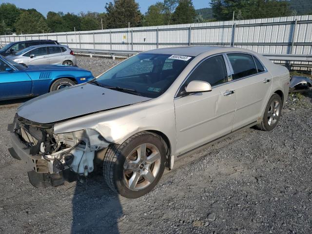 1G1ZH57B59F246680 - 2009 CHEVROLET MALIBU 1LT 金色 照片 1