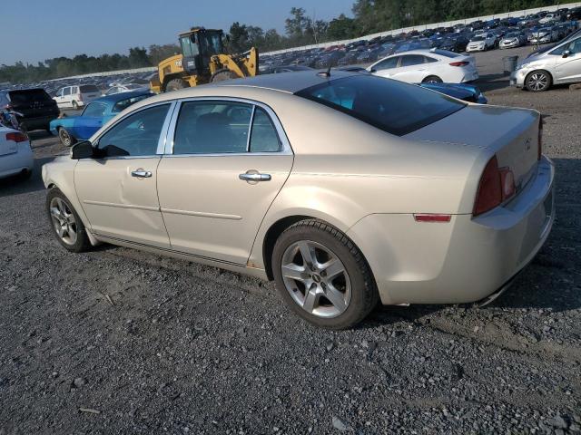 1G1ZH57B59F246680 - 2009 CHEVROLET MALIBU 1LT 金色 照片 2