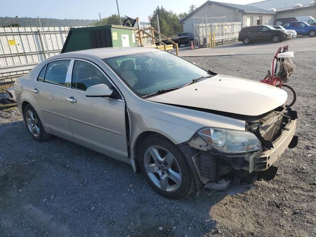 1G1ZH57B59F246680 - 2009 CHEVROLET MALIBU 1LT 金色 照片 4