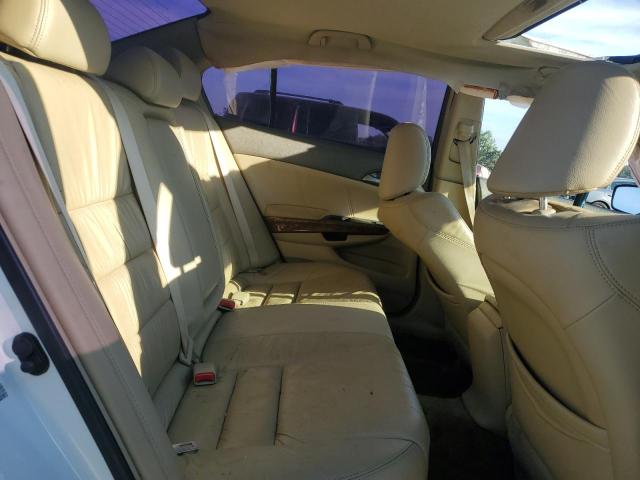 1HGCP36809A017784 - 2009 HONDA ACCORD EXL 白色 照片 10