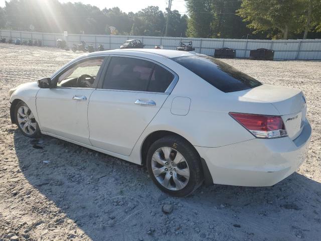 1HGCP36809A017784 - 2009 HONDA ACCORD EXL 白色 照片 2