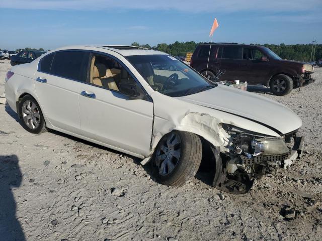 1HGCP36809A017784 - 2009 HONDA ACCORD EXL 白色 照片 4
